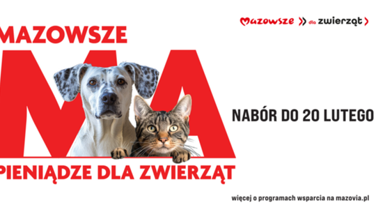 Jest czas do 20 lutego. Samorząd Mazowsza pomaga bezdomnym zwierzętom