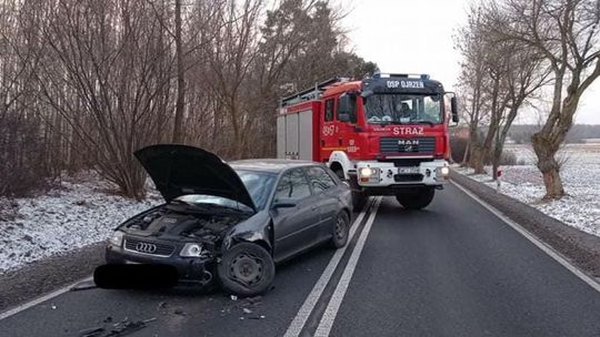 Sarna przyczyną czołówki między Ojrzeniem i Kraszewem