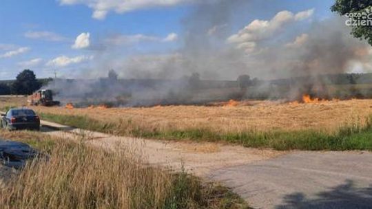 SPEED nie tylko od piratów drogowych