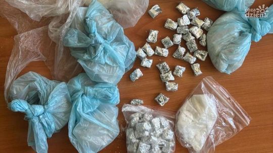 Spektakularna akcja policji w Makowie Mazowieckim – pies Rico odkrył narkotyki