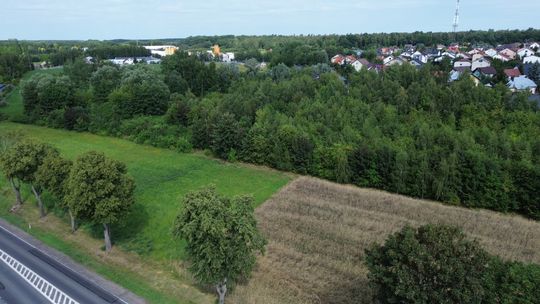 Pole i zarośla - miejsce znalezienia ludzkich szczątków w Ciechanowie