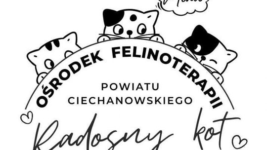 Starostwo kontra Pies i Spółka - kto ma rację?