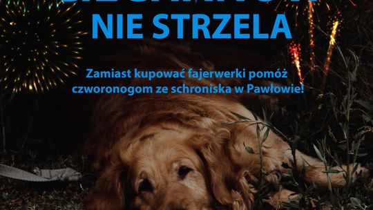 Strzelać czy nie strzelać? Miasto odpowiada: Zamiast kupować fajerwerki pomóż czworonogom