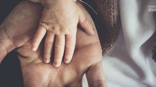Sukces mazowieckiego programu in vitro