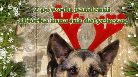 "ŚWIĄTECZNA PAKA DLA PSIAKA 2020/2021" jednak ruszyła!