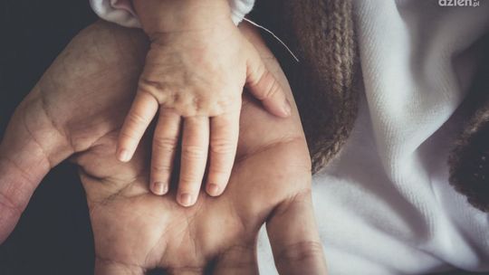 Świetne wyniki mazowieckiego programu in vitro