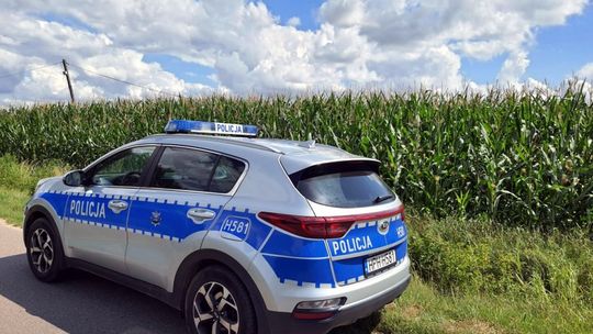 Szreńsk. Uciekł przed policją w pole kukurydzy