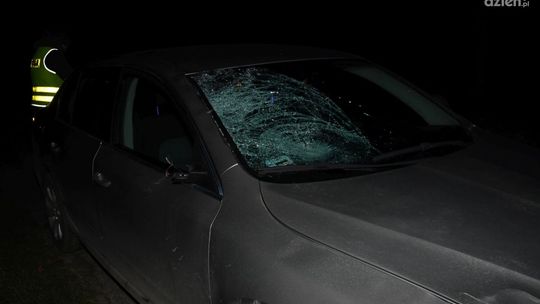 Tragedia w Młodyninie. Nie żyje 14-letnia dziewczynka. Kierowca był pijany