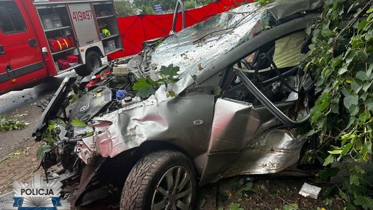 Tragiczny wypadek w Gołotczyźnie, kierowca nie żyje
