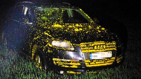 Uciekał przez pole rzepaku i porzucił auto Uciekał przez pole rzepaku i porzucił auto