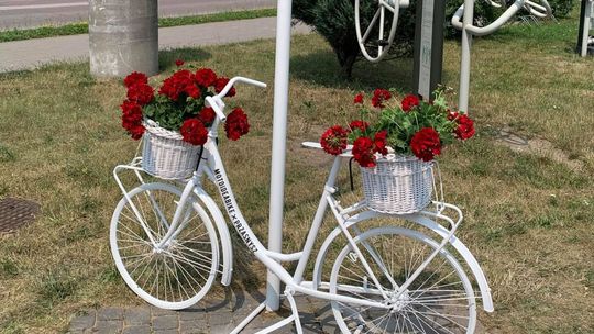 Ukwiecone rowerowe drogowskazy w Przasnyszu