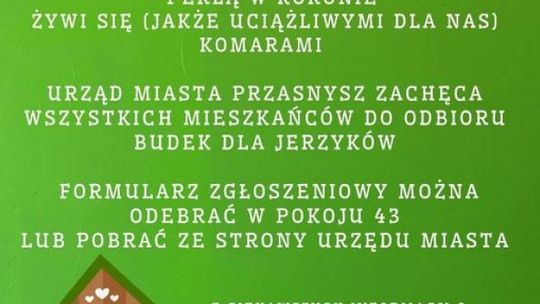 Urząd Miasta Przasnysz rozdaje budki dla jerzyków!