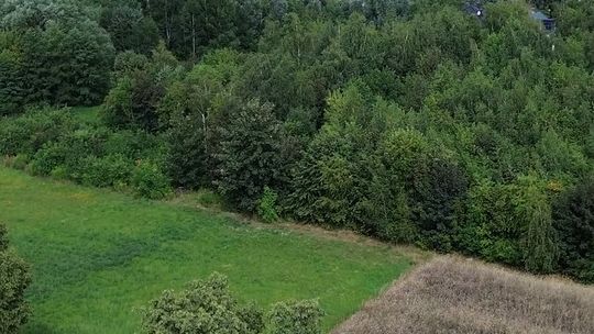Widok z drona na zadrzewiony teren i pola w rejonie ulicy Płockiej w Ciechanowie.