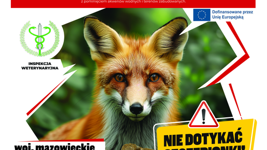 Uwaga! Szczepienie lisów przeciwko wściekliźnie na Mazowszu - ważne informacje dla właścicieli zwierząt