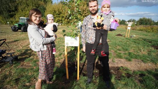 W Ciechanowie posadzono klony z myślą o najmłodszych