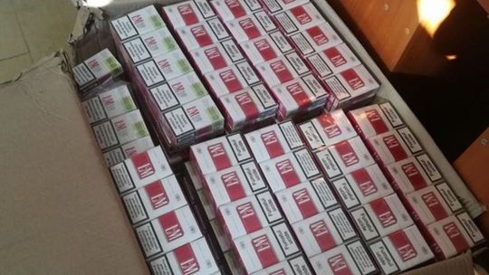 W piwnicy trzymał nielegalny towar. 38-letni ciechanowian odpowie przed sądem