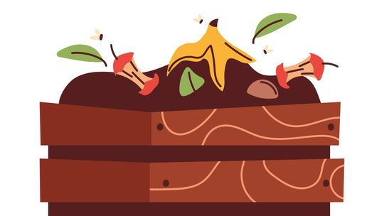 Ważny termin dla mieszkańców gminy Ciechanów. Brak ankiety może być problemem Grafika na której jest kompostownik