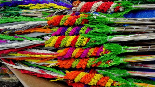 Wielkanocna palma w muzeum – warsztaty dla szkół i rodzin Wielkanocna palma w muzeum – warsztaty dla szkół i rodzin