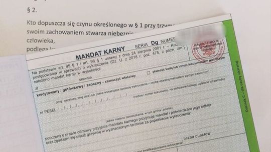 Właściciele psów muszą być świadomi swoich obowiązków