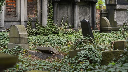 "Wolontariat Pamięci" znów w akcji. W weekend wesprzyj renowację nagrobków zasłużonych ciechowian.