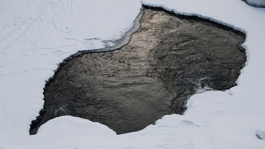 Wpadła do przerębla. Uratowali ją policjanci Wpadła do przerębla. Uratowali ją policjanci