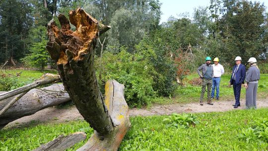 Wsparcie dla Opinogóry po nawałnicy. Wicemarszałek z deklaracją pomocy przy odbudowie parku