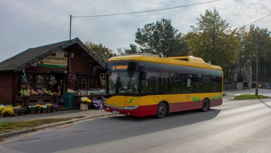 Wszystkich Świętych. Znamy rozkłady autobusów ZKM