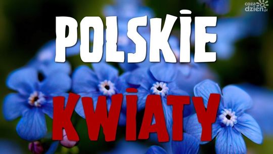 Wydarzenie "Polskie Kwiaty" w Ciechanowie