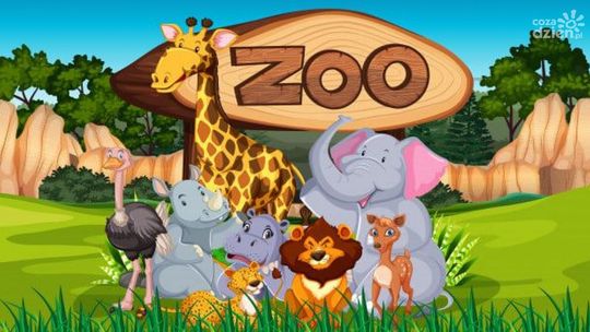 Wyjazdy do ZOO wystawione na licytację!