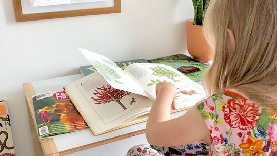 Za tydzień ponowne otwarcie żłobka i przedszkoli