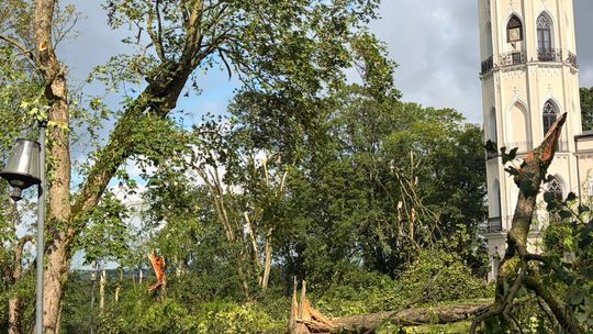 Zabytkowy park zrujnowany. Wichura powaliła dziesiątki starych drzew