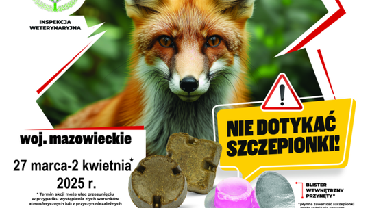 Zbliża się akcja szczepienia lisów wolnożyjących. 