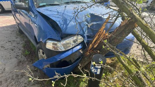 Auto po uderzeniu w drzewo