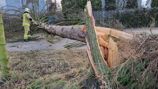 Zerwane dachy, powalone drzewa. Strażacy podsumowali weekend