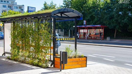 Zielone przystanki autobusowe w Ciechanowie