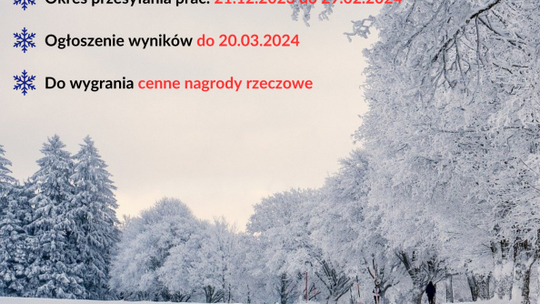 "Zimowy krajobraz miasta i gminy Sochocin" - konkurs fotograficzny 