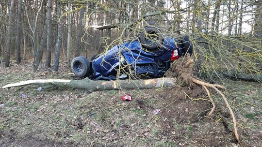 Zjechał z drogi i uderzył w drzewo. Kierowca trafił do szpitala 
