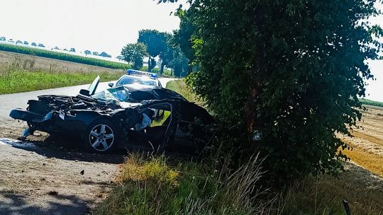Zjechał z drogi i uderzył w drzewo. Policja: Mężczyzna był nieprzytomny