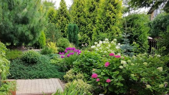 Znów będą wybierać najpiękniejszą posesję, po raz 24