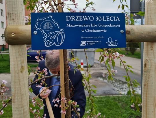 30 drzew na 30-lecie MIG. Rozpoczął się jubileusz!
