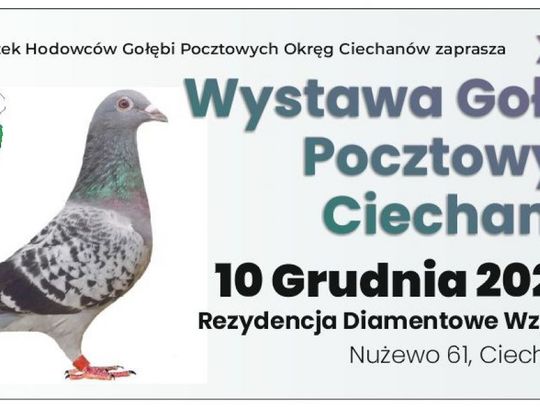 31 Wystawa Gołębi Pocztowych - zbiórka charytatywna dla Antoniego Tomczaka