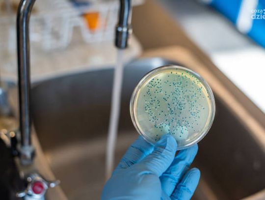 [Aktualizacja 29.07.] Woda zdatna do picia bez przegotowania/ (21.07.) Bakterie Escherichia coli wykryto w wodzie z ujęcia Mosaki gm. Krasne, pow. przasnyski 