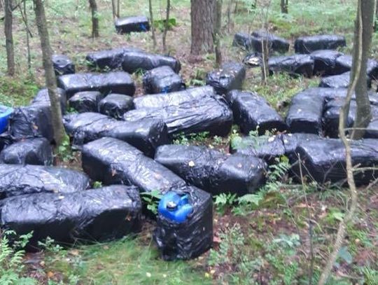 Porzucone pojemniki w lesie w gminie Jednorożec, zabezpieczone przez policję.