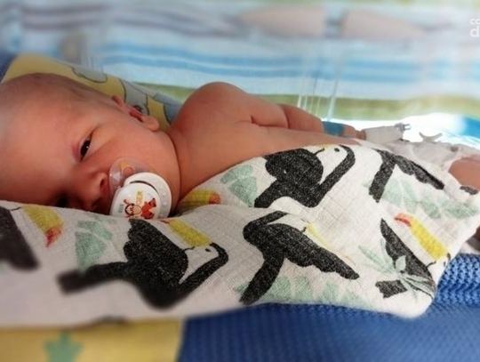 Antoś potrzebuje naszej pomocy! Trwa zbiórka pieniędzy dla chłopczyka z gminy Gołymin-Ośrodek