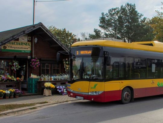 Autobusem na ciechanowski cmentarz. ZKM uruchamia dodatkowe linie 