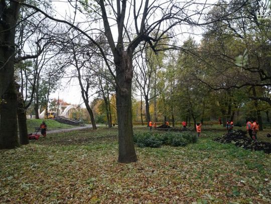 Będzie inaczej, będzie stylowo. Metamorfoza parku nad Łydynią