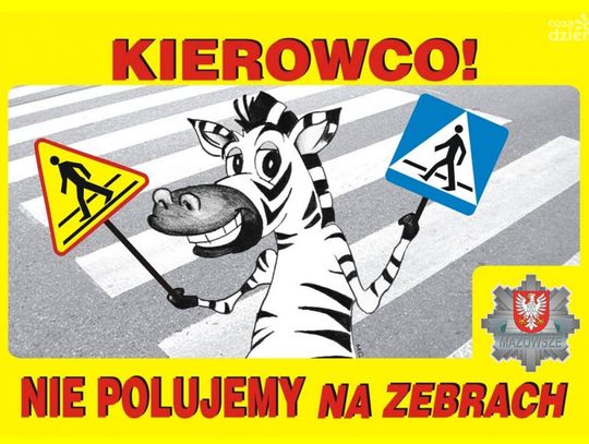 Bezpieczeństwo na drodze: Międzynarodowy Dzień Zebry