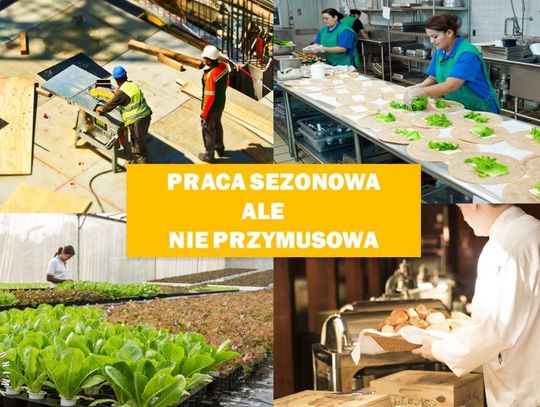 Bezpieczna praca sezonowa za granicą