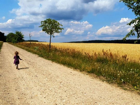 Bezpieczne wakacje na wsi