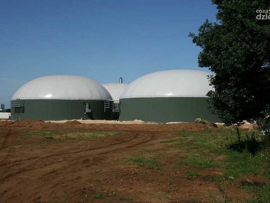 Biogazownie pod Glinojeckiem? Burmistrz Kapczyński komentuje: Zawsze stoimy za mieszkańcami
